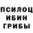 Псилоцибиновые грибы мицелий Ilyas Saliqov