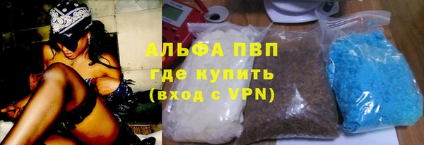 гидра Алексин