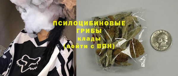 гидра Алексин