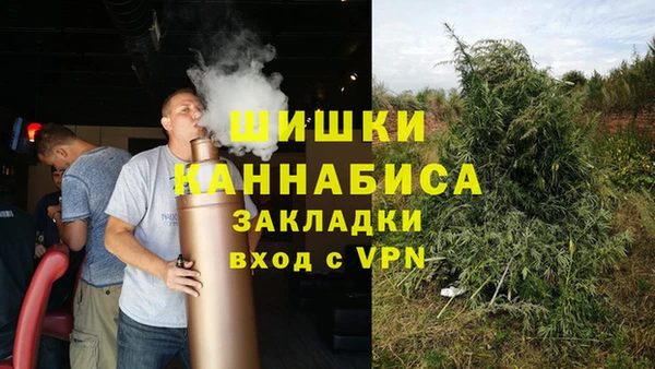 гидра Алексин
