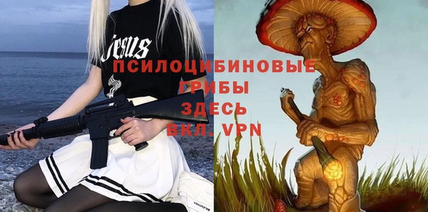гидра Алексин