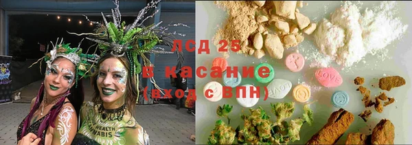 гидра Алексин
