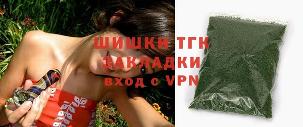 тгк Алзамай