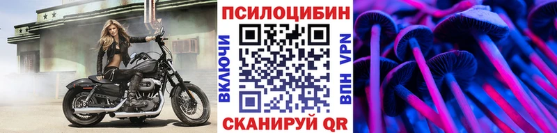 Галлюциногенные грибы MAGIC MUSHROOMS  blacksprut ТОР  Берёзовка 